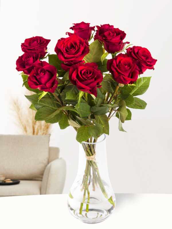 10 rode rozen - XL rozen - EverRed