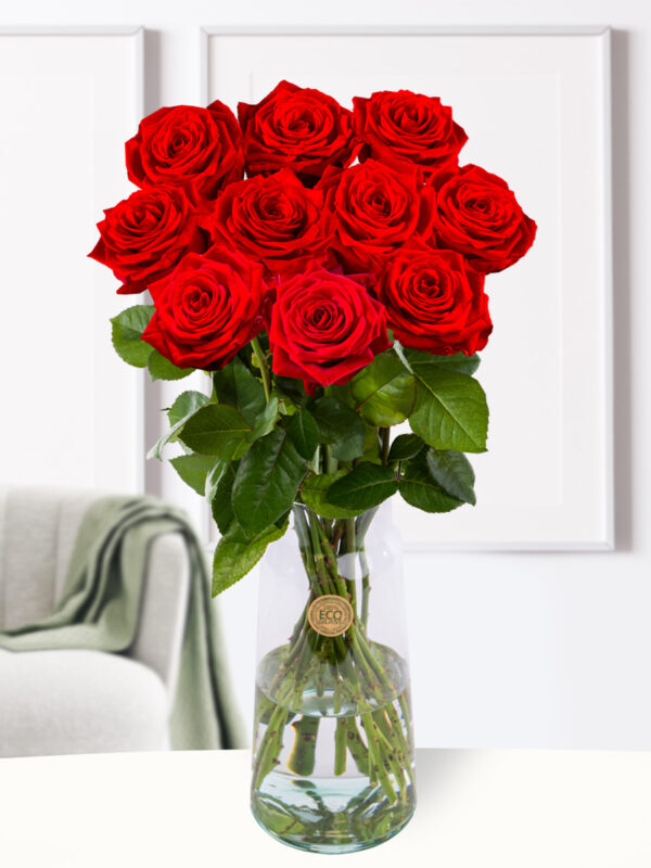 10 rode rozen XL - Red Naomi