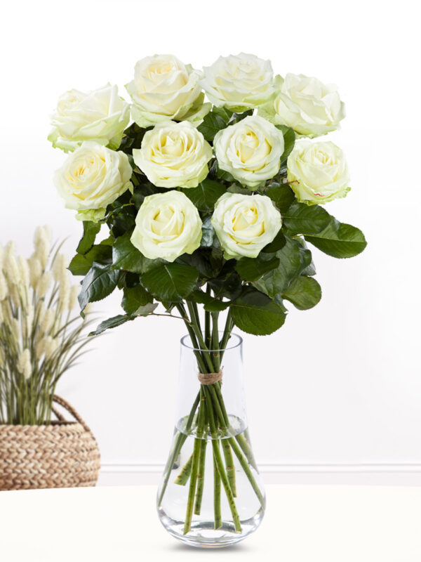 10 witte rozen - XL rozen - Avalanche