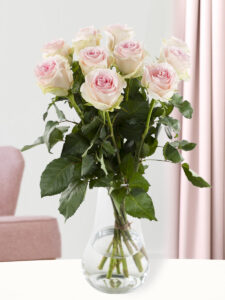 Vorige productafbeelding