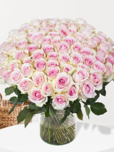 Volgende productafbeelding