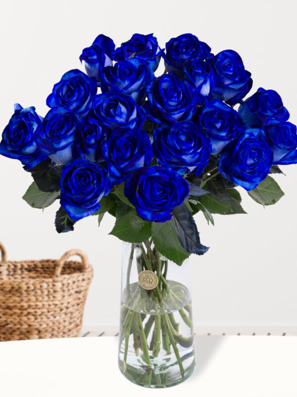 20 blauwe rozen - XL rozen