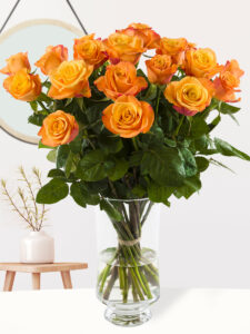 Vorige productafbeelding