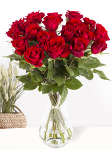 Volgende productafbeelding