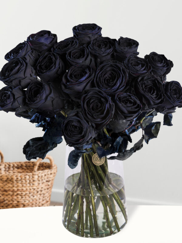 20 zwarte rozen - XL rozen