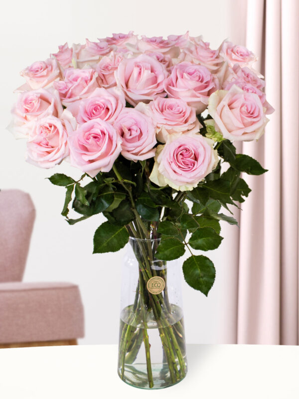 25 zachtroze rozen - XL rozen - Sweet Revival