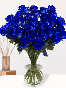 Volgende productafbeelding