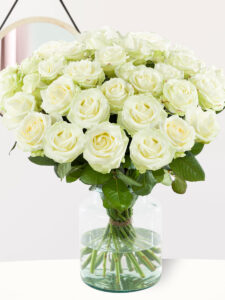 Vorige productafbeelding