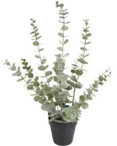 Volgende productafbeelding