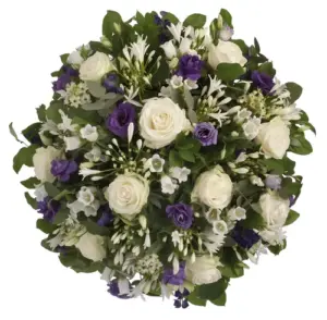 Volgende productafbeelding