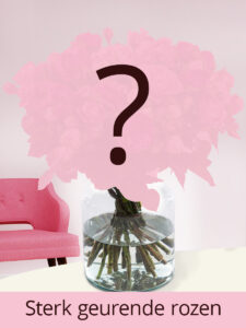 Vorige productafbeelding