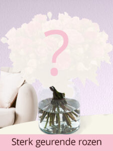 Vorige productafbeelding