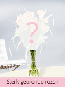 Vorige productafbeelding