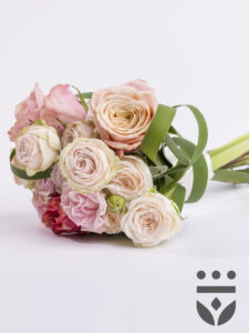 Vorige productafbeelding