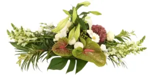 Volgende productafbeelding