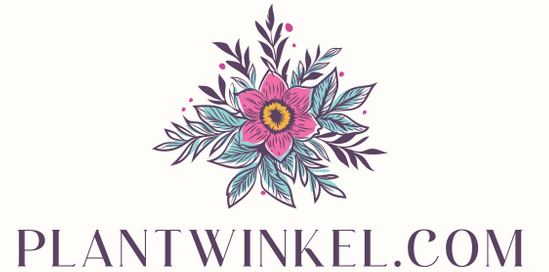 Plantwinkel