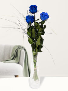 Volgende productafbeelding