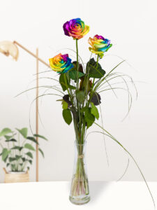 Vorige productafbeelding