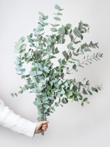 Volgende productafbeelding