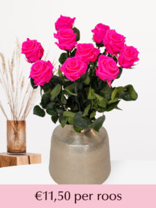 Vorige productafbeelding