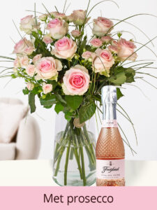 Volgende productafbeelding