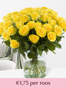 Volgende productafbeelding