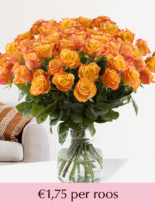 Vorige productafbeelding