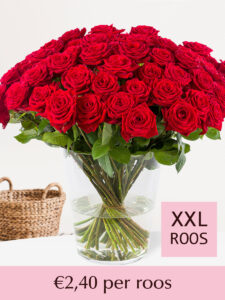 Volgende productafbeelding