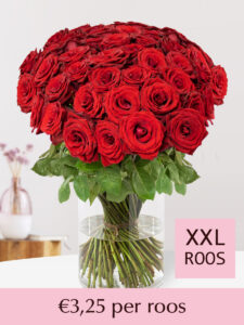 Volgende productafbeelding