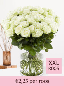 Vorige productafbeelding