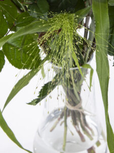 Volgende productafbeelding