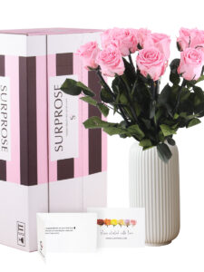 Vorige productafbeelding