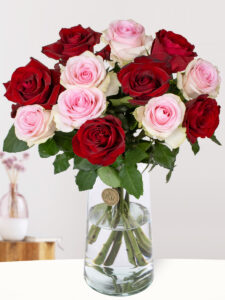 Vorige productafbeelding